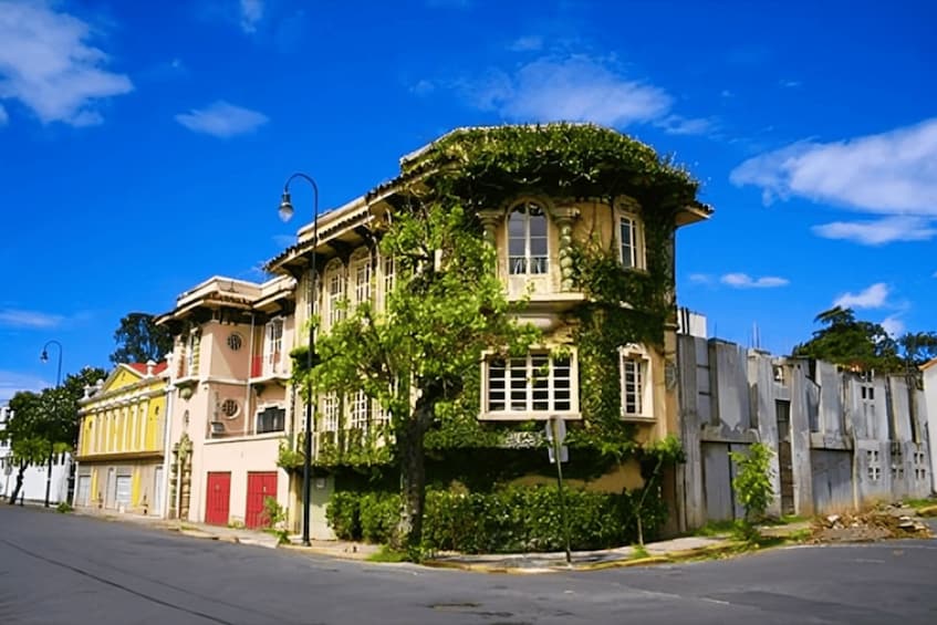 A historic building with ivy-covered walls, a street lamp, and a clear blue sky. 1