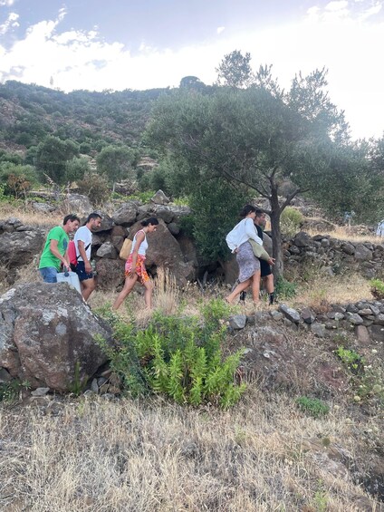 Picture 1 for Activity Filicudi: Wine Trekking and Tasting in Vigna Eroica 3