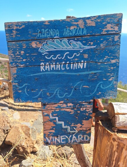 Picture 3 for Activity Filicudi: Wine Trekking and Tasting in Vigna Eroica 2