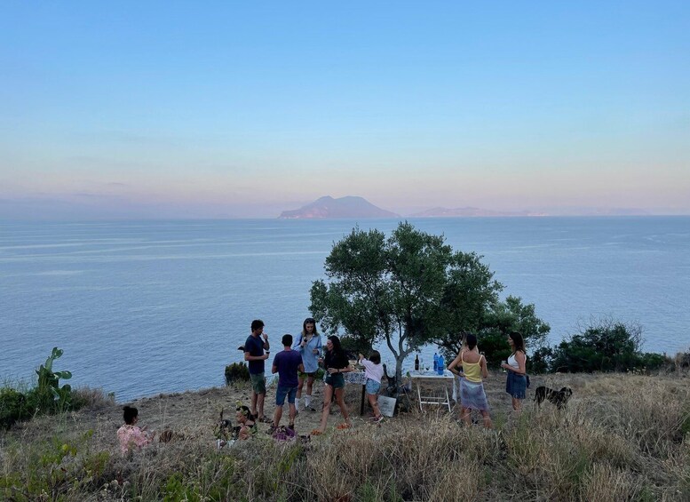 Filicudi: Wine Trekking and Tasting in Vigna Eroica 1