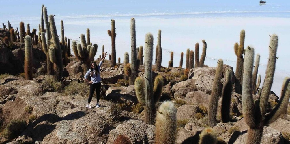 Picture 4 for Activity From Atacama | Uyuni salt flat 4 days the largest salt flat 5