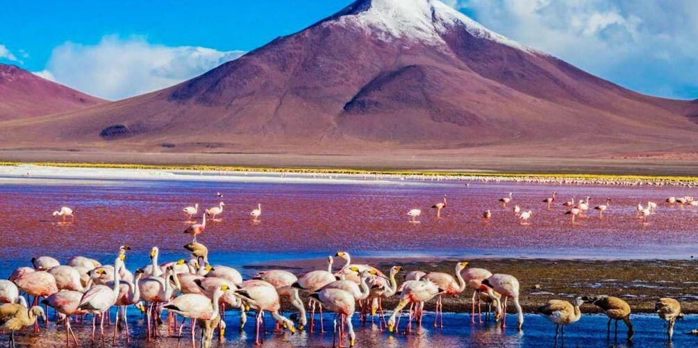 Picture 5 for Activity From Atacama | Uyuni salt flat 4 days the largest salt flat 3