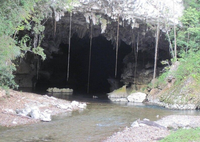 Picture 15 for Activity Belize City: Cave Tubing & Altun Ha Mayan Ruin with Lunch 2