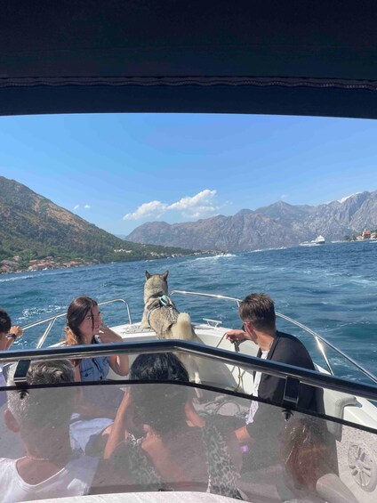 A boat with passengers and a dog on the deck, surrounded by a mountainous landscape and a body of water. 4