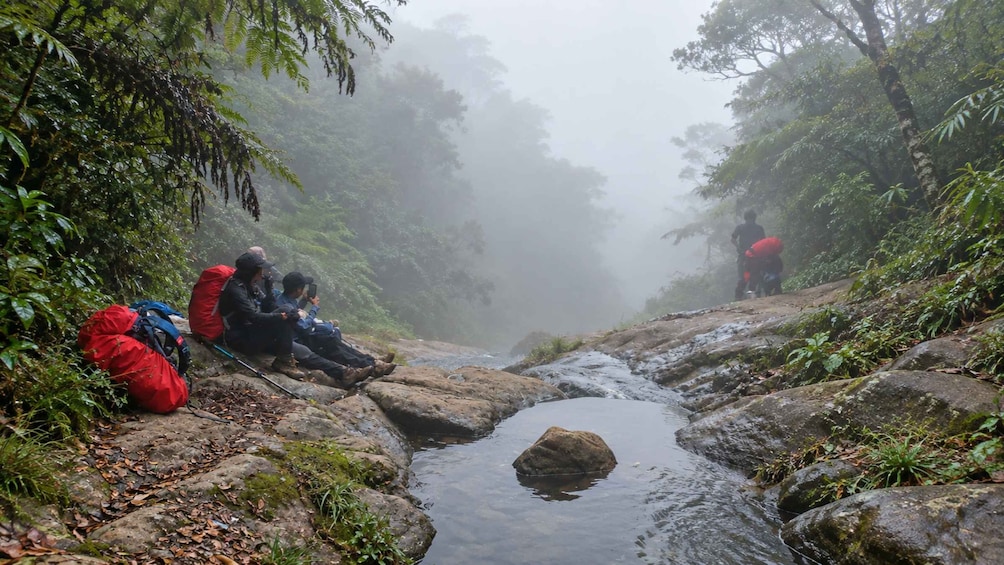Hikers resting by a stream in a misty forest. 5