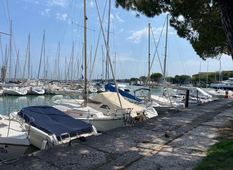 Picture 11 for Activity From Verona: see Lake Garda, Sirmione, Desenzano & Borghetto 5