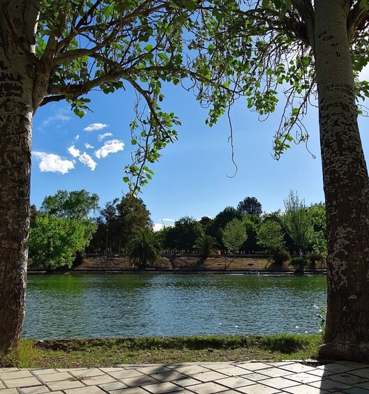 A park with a lake, trees, and a clear sky. 2