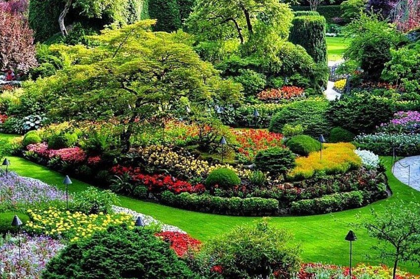 Butchart Gardens 2