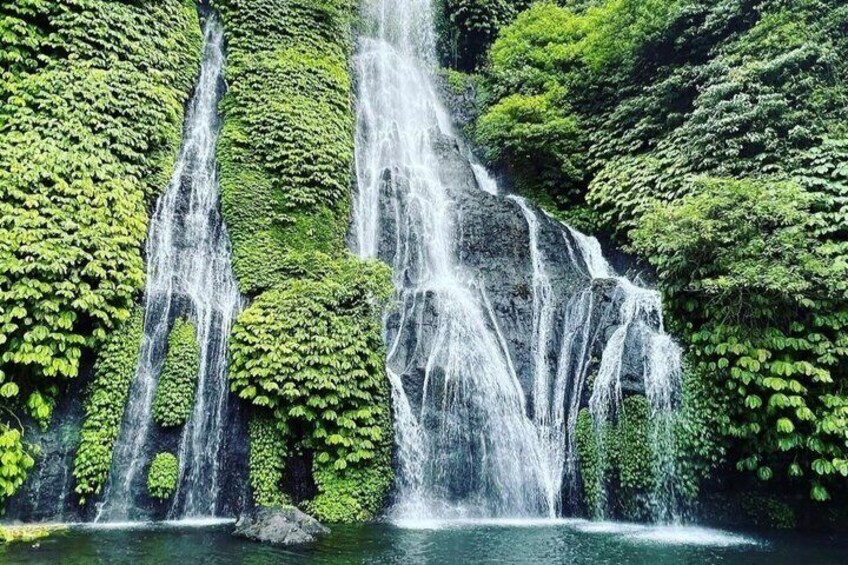 A waterfall cascading over moss-covered rocks surrounded by lush greenery. 5