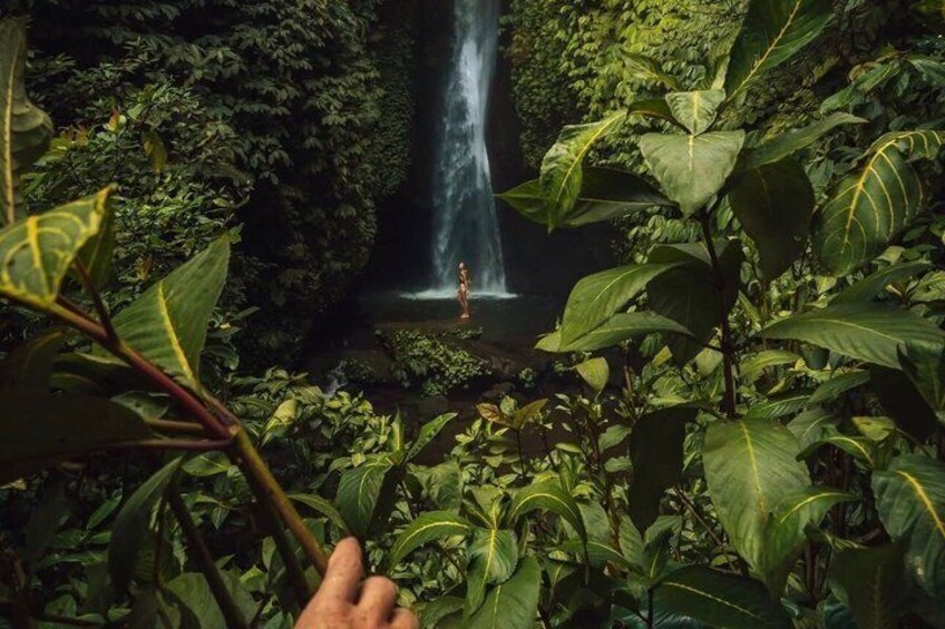 Bali Hidden Waterfalls (Private & All-Inclusive) 5