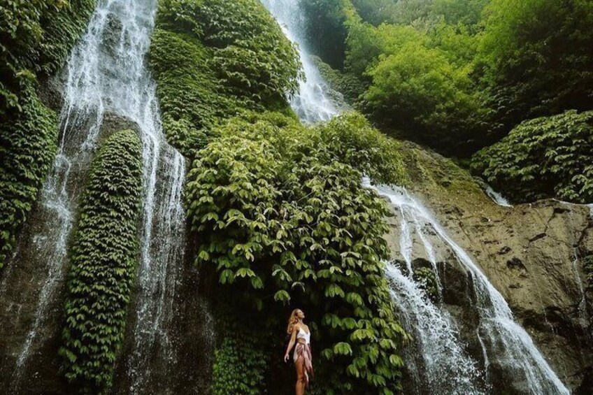 Bali Hidden Waterfalls (Private & All-Inclusive) 3