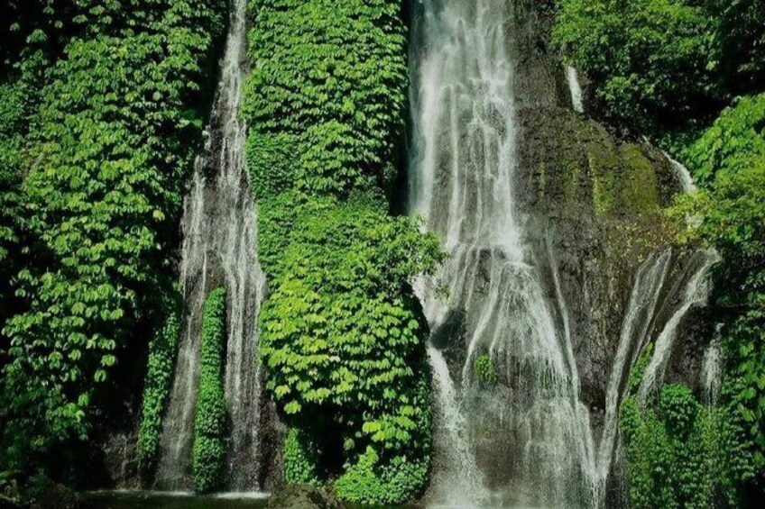 A waterfall surrounded by lush greenery. 4