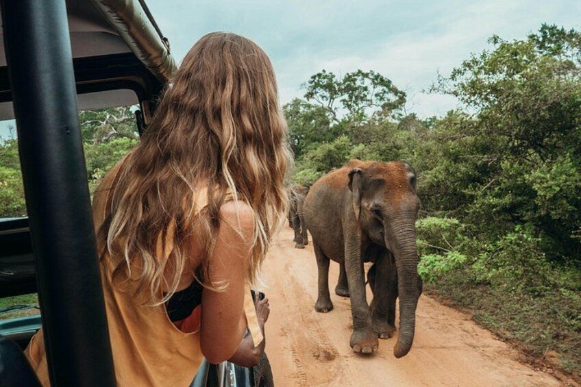 Ella to Mirissa Shuttle & Udawalawe national Safari 1