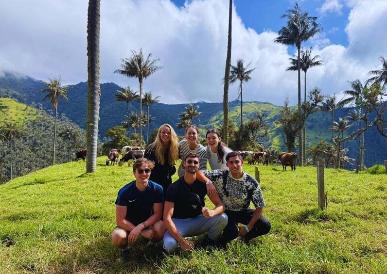 A group of people sitting on grass with palm trees and cows in the background. 2