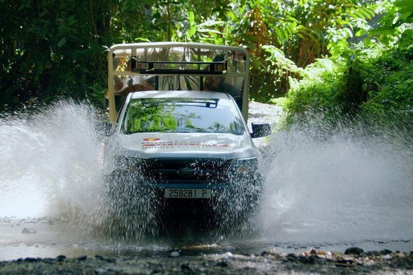 Moorea Cruise Ships: 4x4, Belvedere, Mountain pineaple 2
