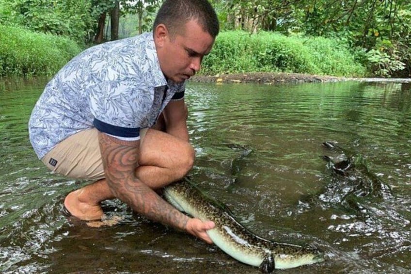 A person holding a large fish in a river surrounded by greenery. 4