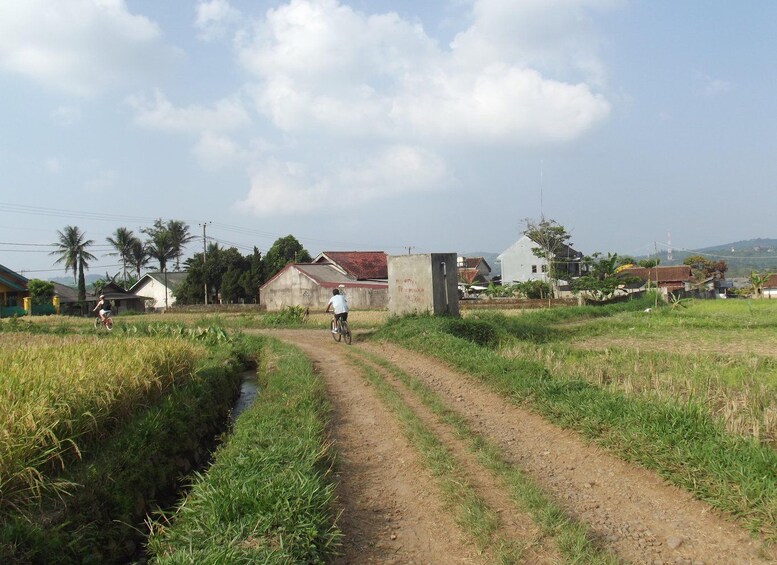 CIanjur : Downhill and Countryside Cianjur Cycling Tour 1