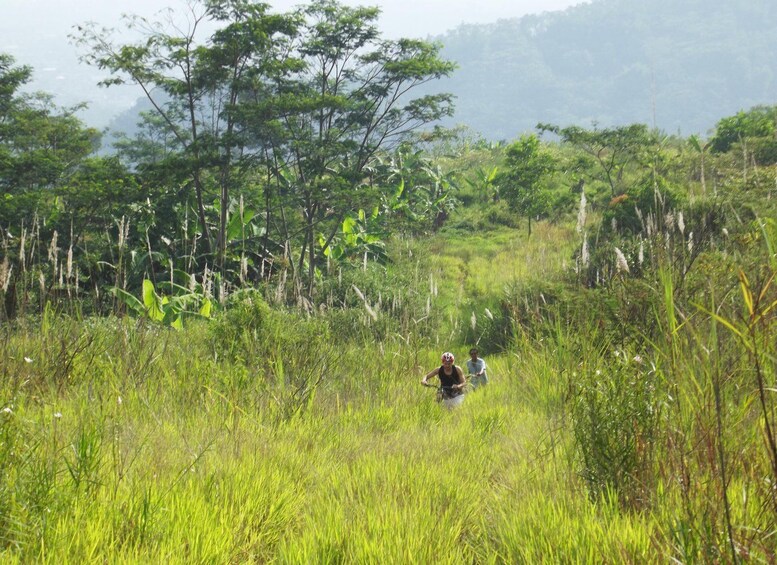 Picture 20 for Activity CIanjur : Downhill and Countryside Cianjur Cycling Tour 2