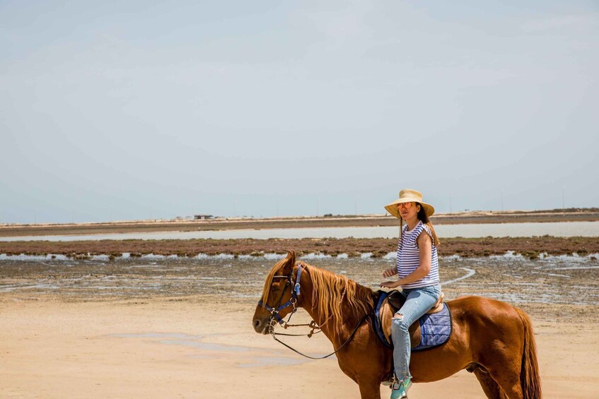 A person riding a horse on a sandy beach with water in the background. 4