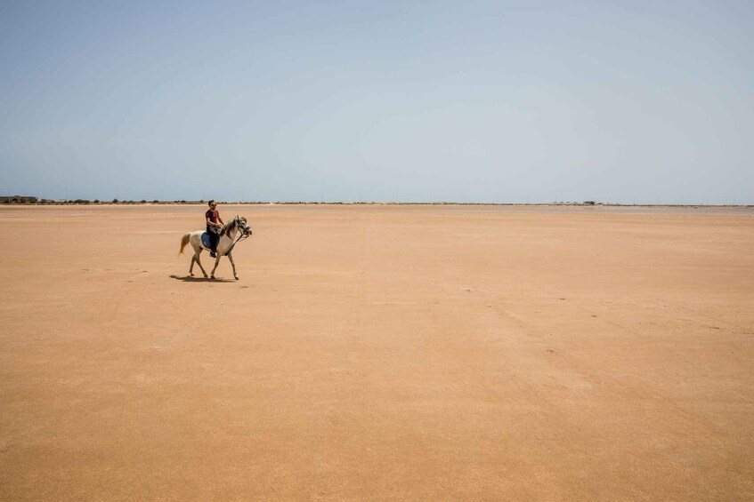 A person riding a horse across a vast, flat desert landscape. 3