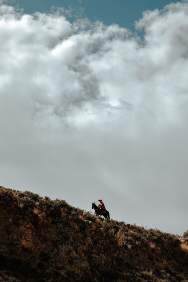 A person riding a horse on a grassy hill with clouds in the sky. 4