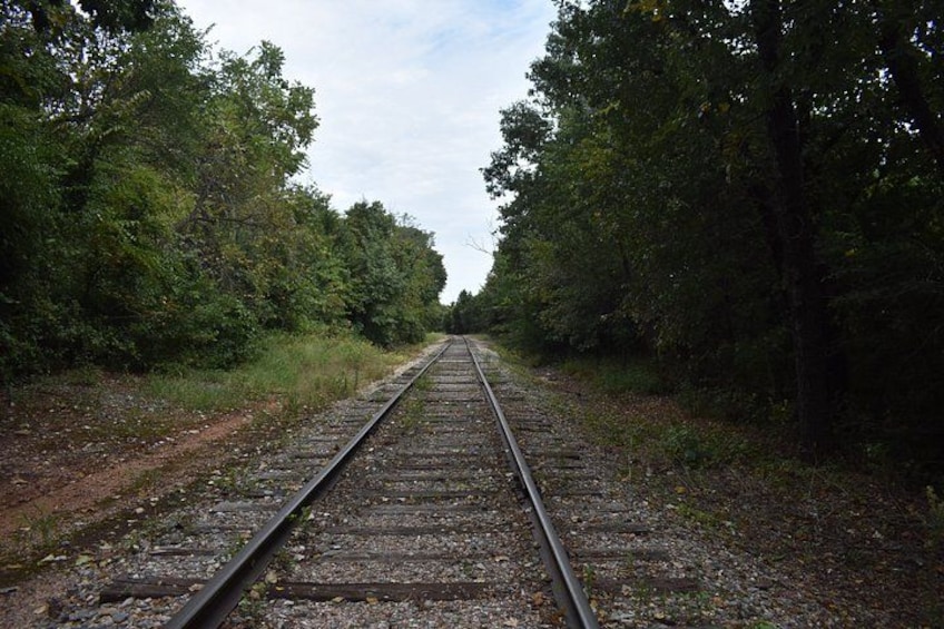 In the OK woods 4