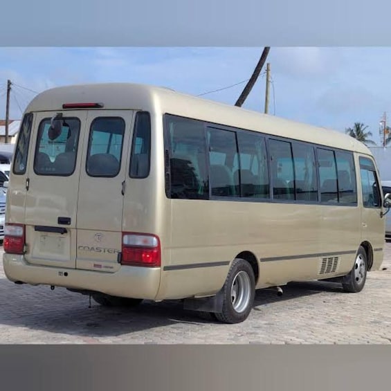 Picture 2 for Activity ZANZIBAR: Airport & Sea port transfer to/from hotels 3