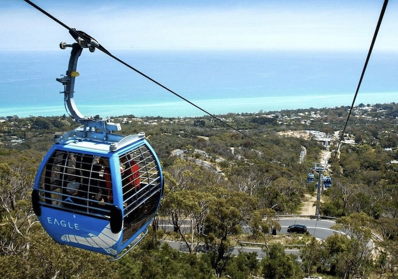 A cable car labeled 'EAGLE' suspended over a coastal landscape with roads and greenery below. 3