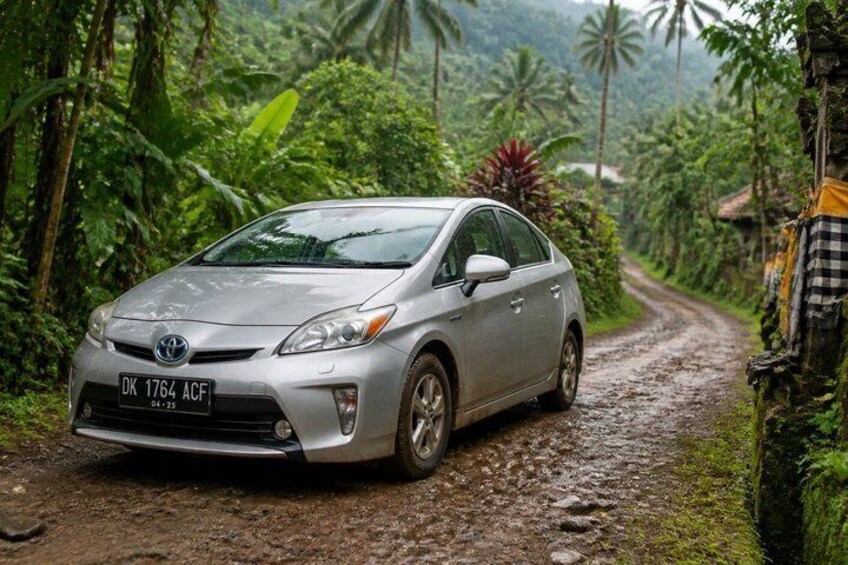 All-Inclusive Ubud Food & Forest Culture with Driver Guide Ketut 2
