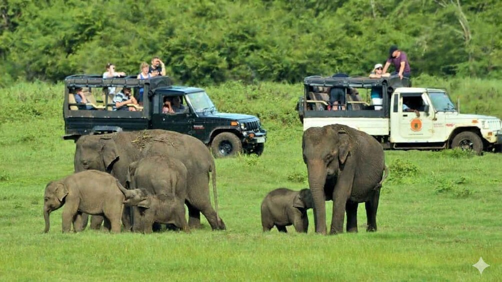 A safari vehicle with tourists observing elephants in a grassy field. 2