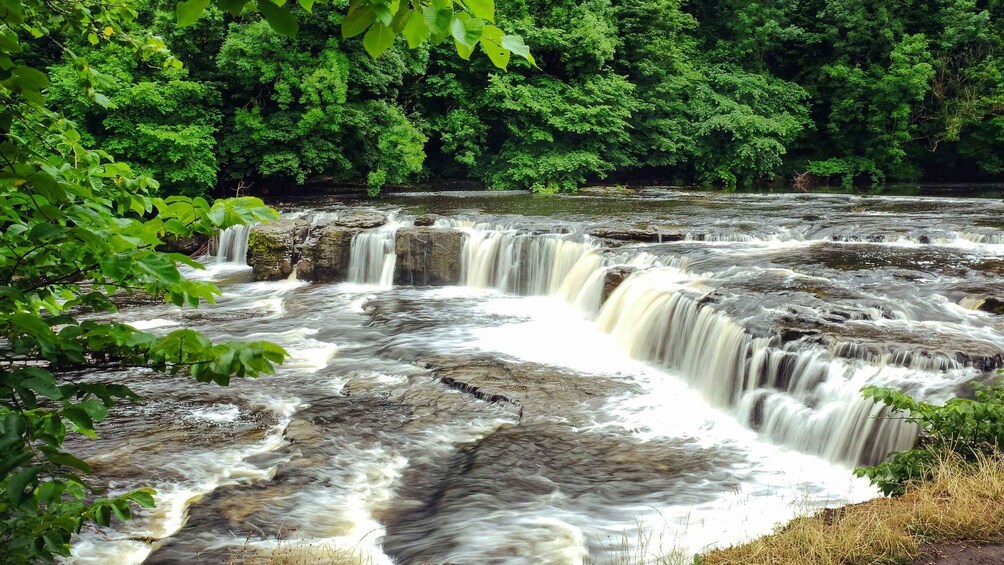A multi-tiered waterfall surrounded by dense green foliage. 4