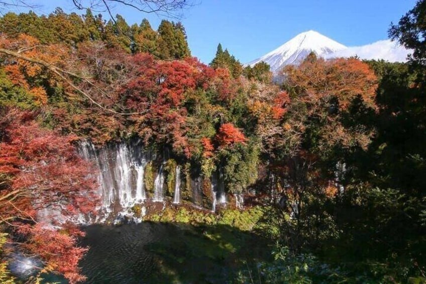 Hakone Private & Custom Day Tour with English Driver 3