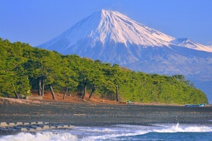 Hakone Private & Custom Day Tour with English Driver 5