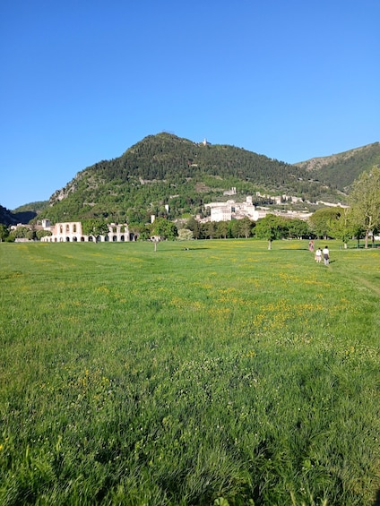 A green field with yellow flowers, a historic building, and a hill with trees. 2