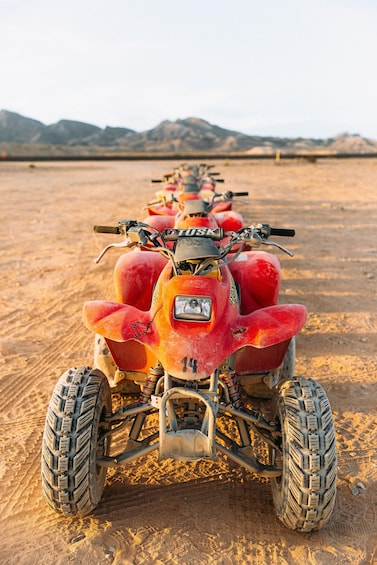 A row of red quad bikes parked on a sandy terrain with mountains in the background. 5