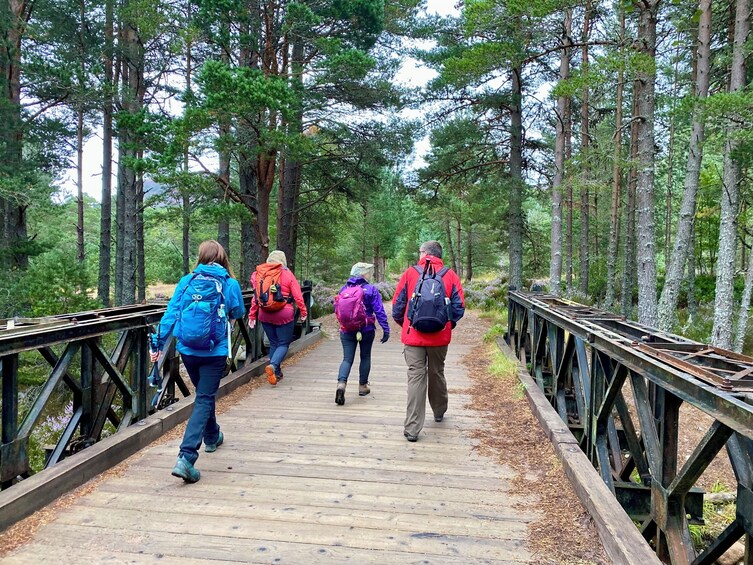A group of hikers on a wooden bridge surrounded by trees. 2