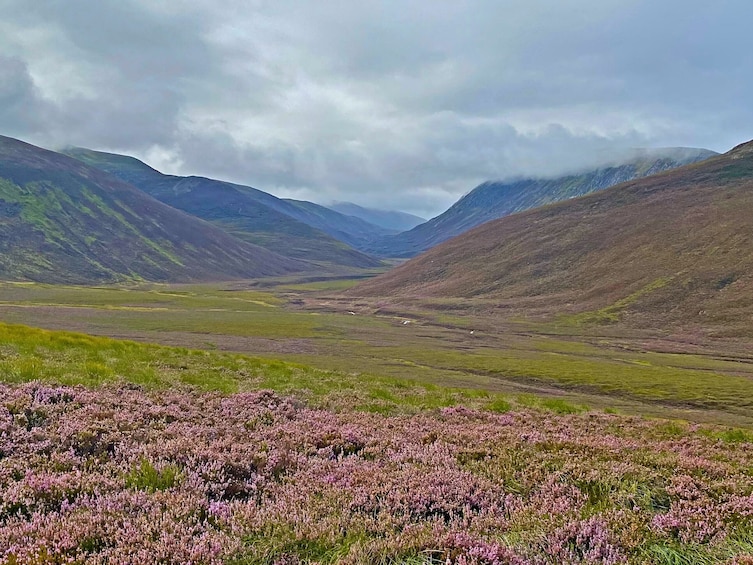 A valley with purple heather and green grass, surrounded by mountains under a cloudy sky. 5