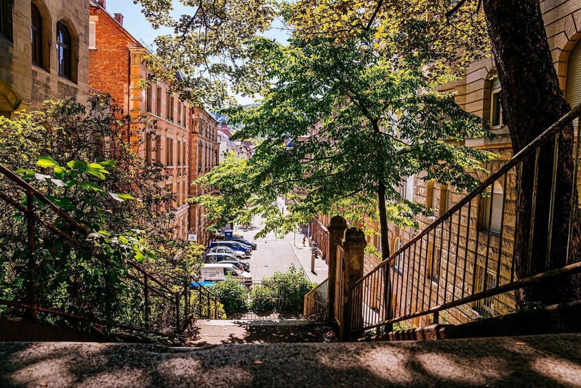 A narrow street flanked by buildings and trees. 1