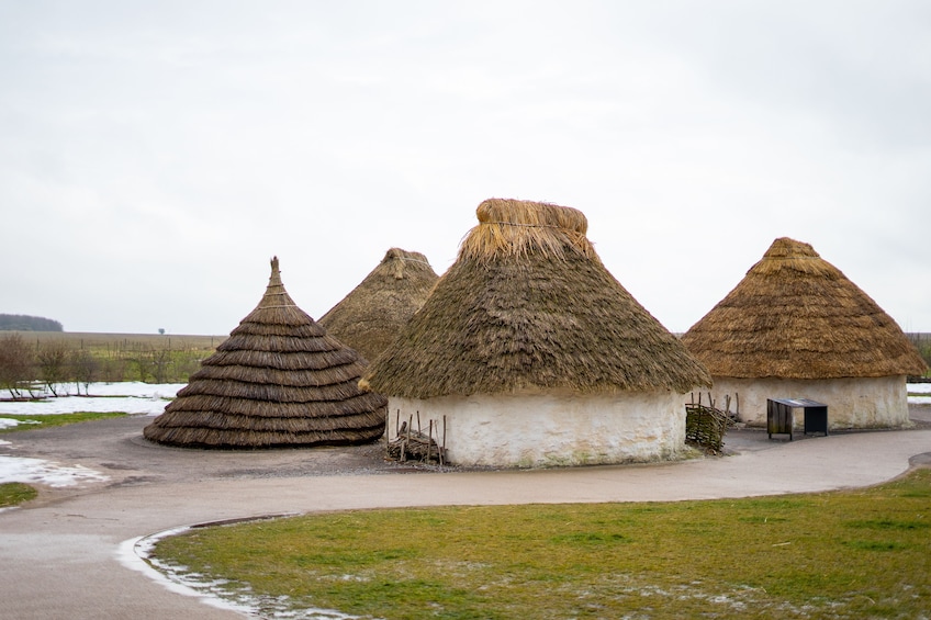 Hutten met rieten daken in een landelijke omgeving. 4