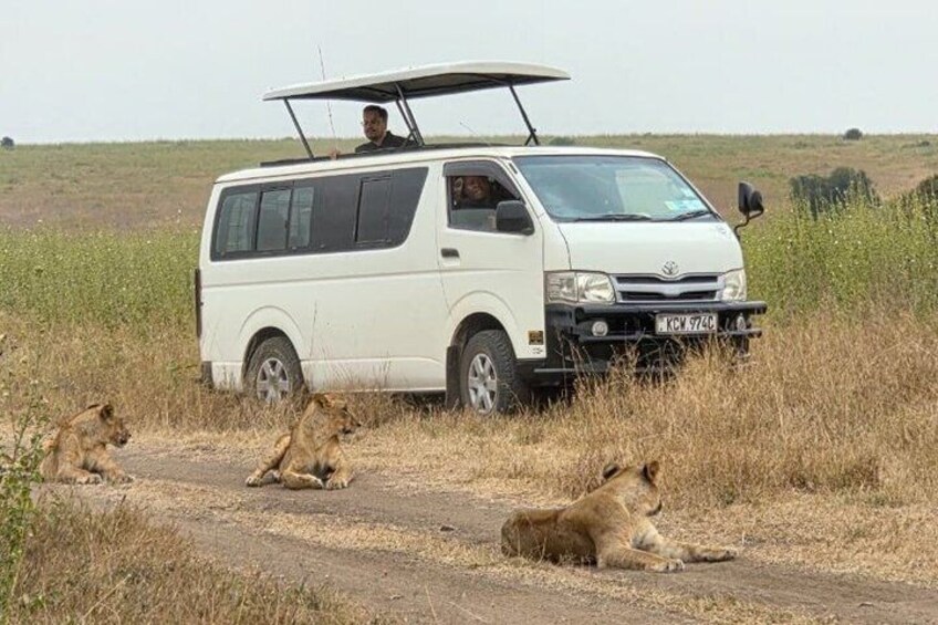 Half Day Nairobi National Park Tour with Options 1