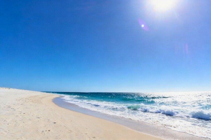 Perth Forest to Foreshore Self Guided Walking Tour with an APP 4