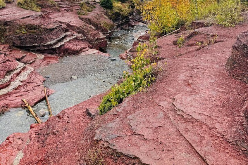 Explore Waterton National Park from Calgary Day Guided Tour 2