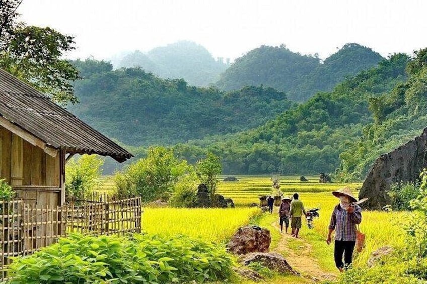 A rural landscape with a wooden house, a dirt path, and people walking through a field. 1