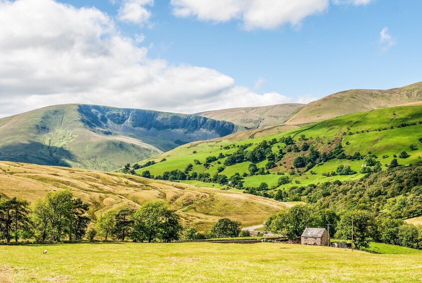 A green valley with rolling hills, a stone house, and a sheep grazing. 2