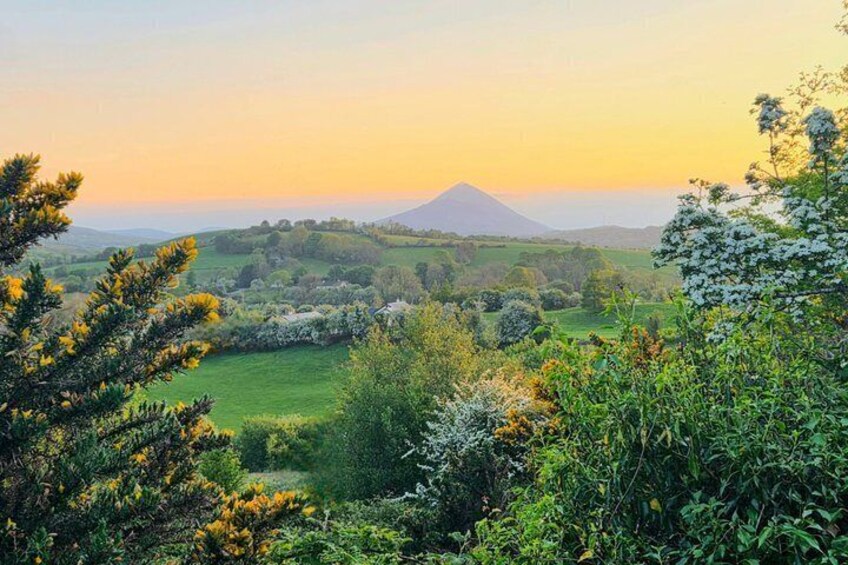 A landscape with a mountain in the background, green fields, and various trees and shrubs in the foreground. 4