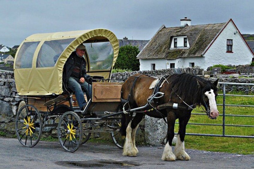 Jaunting Car 5