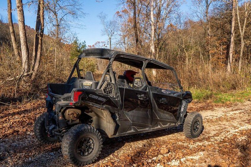 Wooded Trails! 2