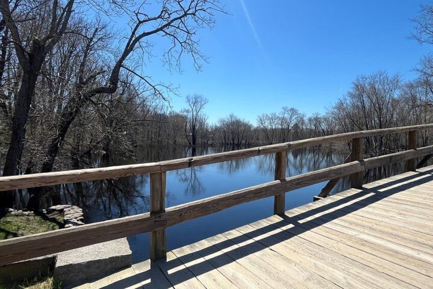 A wooden boardwalk over a calm lake with trees in the background. 2
