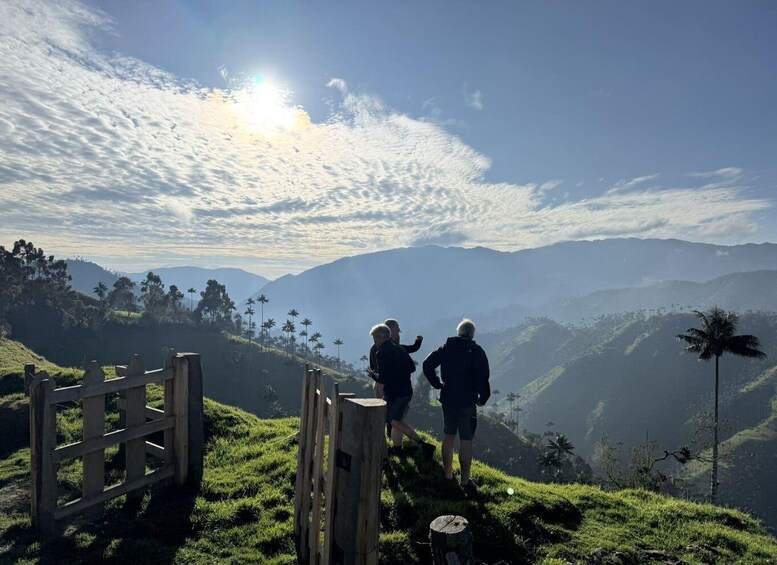 Picture 16 for Activity La Carbonera Adventure: Hiking & Horseback Riding in the Andean Palm Forest 4
