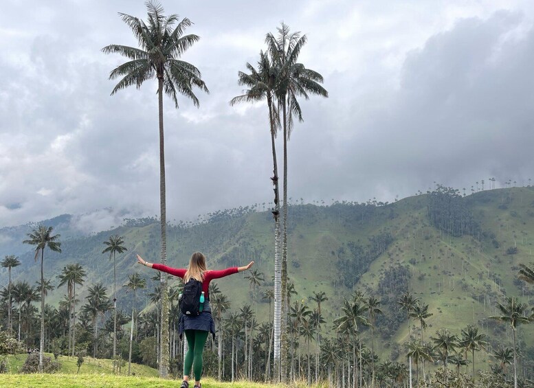 Picture 19 for Activity La Carbonera Adventure: Hiking & Horseback Riding in the Andean Palm Forest 5